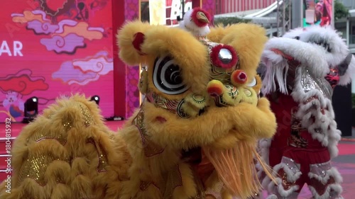 Chinese lion dance performing, Slow motion.	