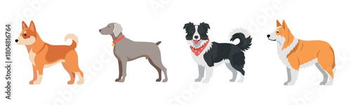 Illustration of diverse dog breeds: shiba inu, weimaraner, border collie, corgi
