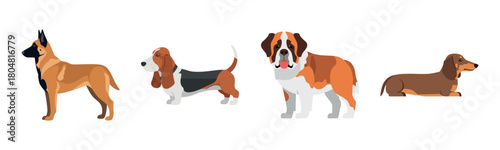 Illustration of diverse dog breeds including belgian malinois, basset hound, st. bernard, and dachshund
