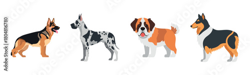 Illustration of four distinct dog breeds: german shepherd, great dane, saint bernard, and collie