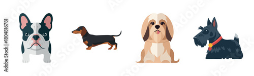 Cartoon illustrations of diverse dog breeds: french bulldog, dachshund, shih tzu, scottish terrier