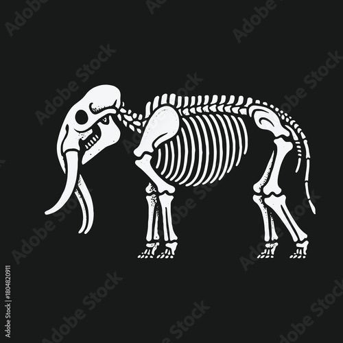 Graphic white elephant skeleton anatomy on a black background.