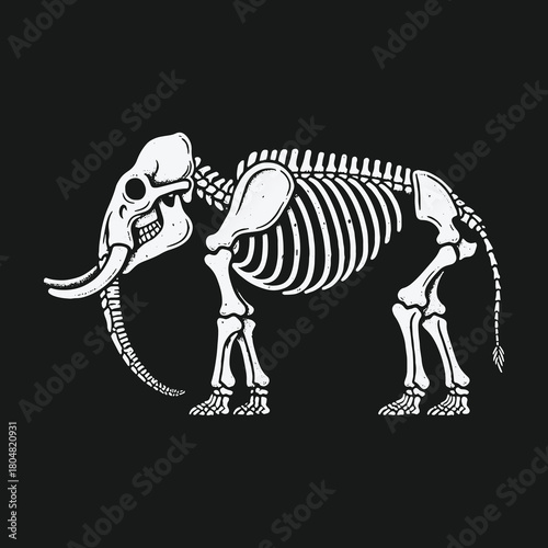 Detailed anatomical illustration of an elephant skeleton side view.