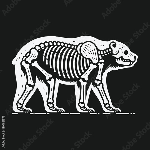 Graphic illustration of a walking bear showing its complete skeleton.
