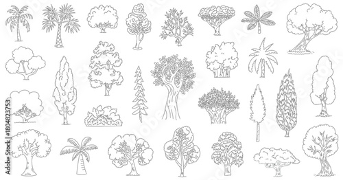 Cad tree line illustrations in side view, designed for landscape architecture, urban planning, and architectural drawing projects.