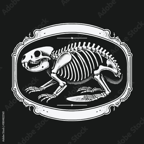 Monochrome Illustration of a Rodent Skeleton in a Vintage Ornate Frame.