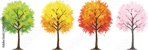Seasonal trees, spring blossoms, summer greenery, autumn yellow leaves, autumn red foliage, ornamental plants, natural forest, landscape design, decorative garden, botanical illustration