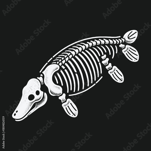 Prehistoric marine reptile skeleton illustration on black background.