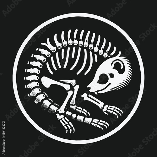 Graphic illustration of a curled animal skeleton inside a white circle.