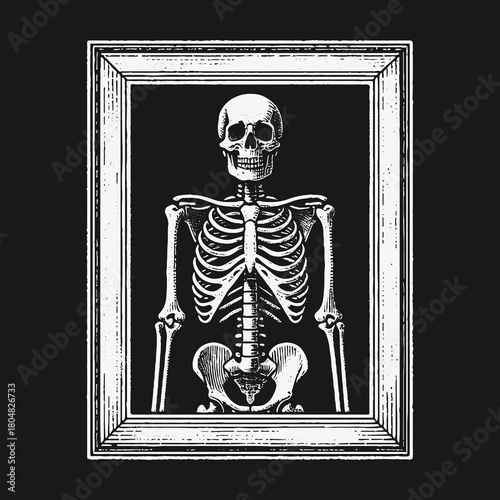 Vintage engraving of a human skeleton portrait in a picture frame.
