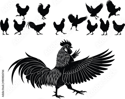 Collection of black chicken and rooster silhouettes, farm poultry vector illustration set including detailed crowing cock, isolated on white.
