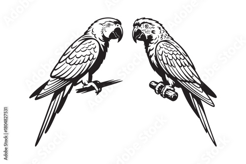 Two macaw parrots perched on branches in a vintage illustration style