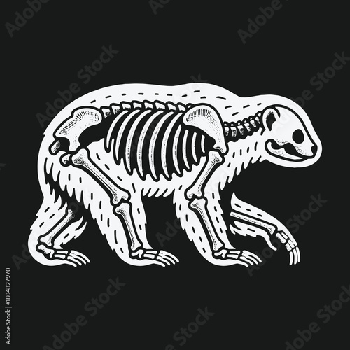 Stylized walking bear with visible skeleton anatomy illustration.
