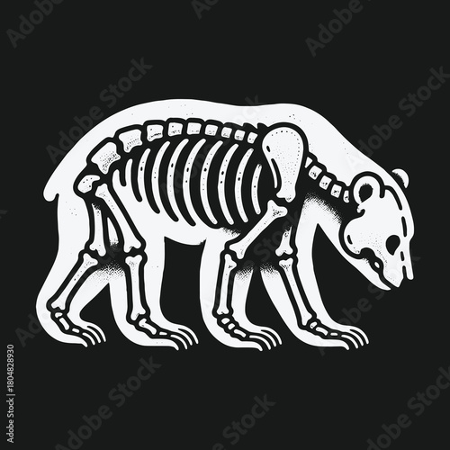 White bear silhouette with a visible skeleton illustration on a black background.