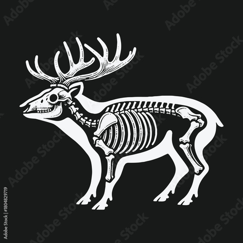 Anatomical illustration of a deer skeleton inside its silhouette on a black background.
