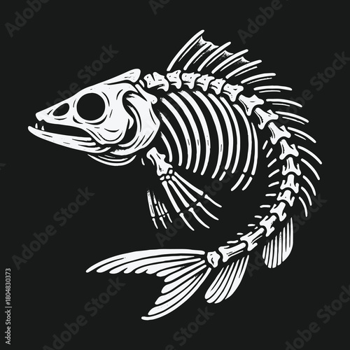Detailed fish skeleton vector illustration on a black background.