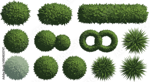 Topiary bushes, spherical shrubs, rectangular hedge, circular foliage, spiky plants, ornamental greenery, garden design, decorative landscaping, natural texture, botanical illustration