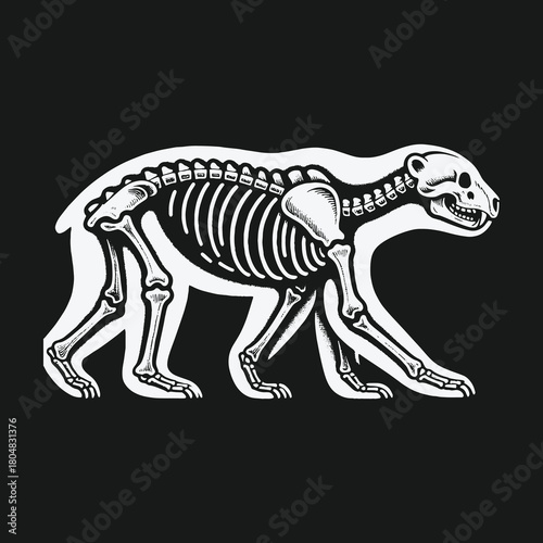 Graphic vector illustration of a complete bear skeleton walking.