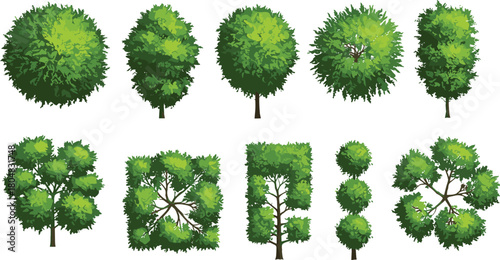 Tree canopies top view, side view trees, pruned shapes, rounded foliage, geometric topiary, ornamental plants, landscape design, decorative greenery, natural forest, botanical illustration
