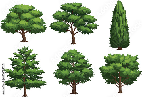 Tree illustration set, diverse foliage design, conifer and deciduous vector, nature clipart collection, eco concept, educational graphic, landscape element, greenery