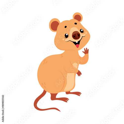 Cute Quokka Animal with Pretty Snout and Tail Vector Illustration