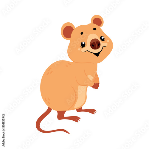 Cute Quokka Animal with Pretty Snout and Tail Vector Illustration