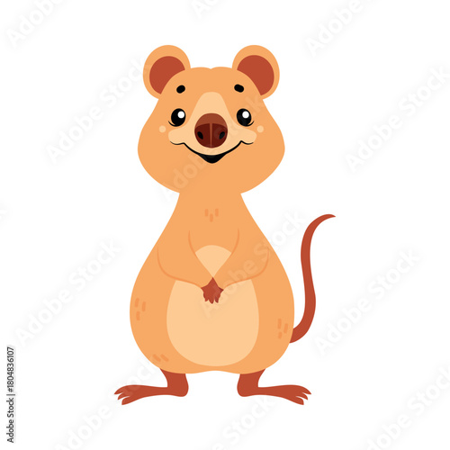 Cute Quokka Animal with Pretty Snout and Tail Vector Illustration