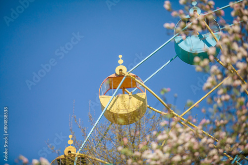 Ornate Ferris Wheel with Blurred Spring Blossoms Foreground