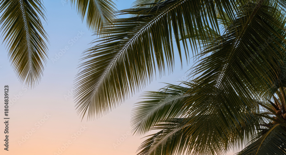 Fototapeta premium Tropical palm tree leaves framing a tranquil sunset sky with gentle pastel colors and serene summer vacation atmosphere