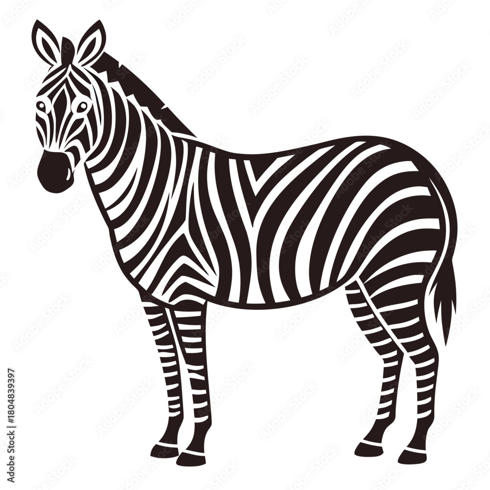 Fototapeta premium Vector illustration of a standing zebra profile with black and white stripes, isolated on a white background