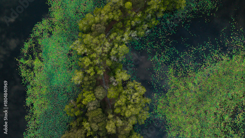 Top-down aerial photo of vibrant green and multicolored floating leaves scattered over dark, calm water, creating a striking natural abstract pattern