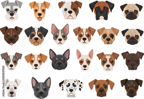 Set of cute dog faces, large collection of various breeds. Vector pet portraits, isolated cartoon icons. Pug, boxer, bulldog, dalmatian heads.