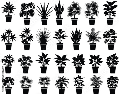 Houseplant icon set, large collection of potted indoor plants, vector silhouettes, monstera, palm, fern, home decor elements isolated white.