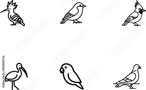 Collection of diverse bird species in minimalist line art a showcase of avian diversity and design the perfect representation of nature conservation and wildlife appreciation