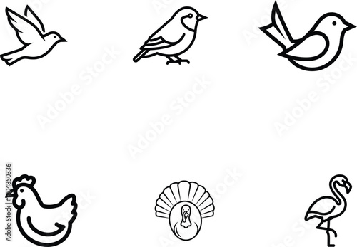 Diverse bird species illustration set in minimalist outline style suitable for design projects featuring nature avian fauna and ornithological themes evoking simplicity and elegance