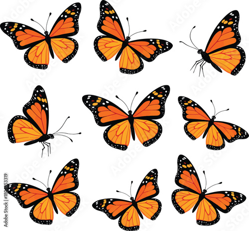 Monarch Butterflies with Vibrant Wings Fluttering in Group Composition Design