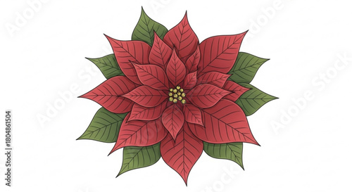 Festive Poinsettia Artwork for Holiday Cheer, Use in Greetings, Cards, and Seasonal Designs, Perfect for Christmas and Winter Projects, Fresh Botanical
