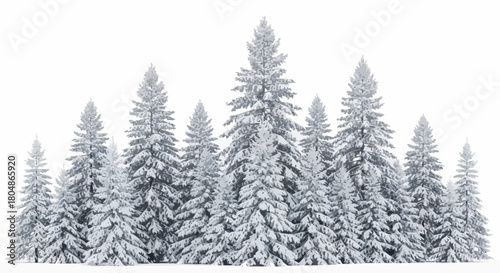 Stylized illustration of a kitchen whisk with intricate swirling details perfect for culinary themes and recipe graphics