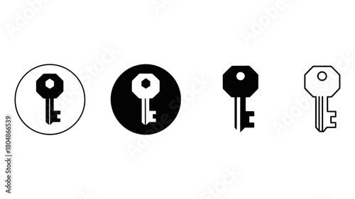 Set of four minimalist key icons, including solid and outline styles, symbolizing security, access, privacy, login, encryption, and vital solutions.