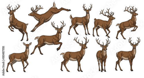 Stylized whisk illustration with intricate swirling lines and a clean modern aesthetic