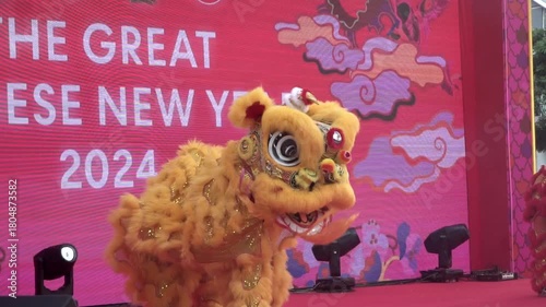 Chinese lion dance performing, Slow motion.	