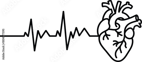 Minimalist black and white vector of a cardiogram waveform connected to an anatomical human heart on the right side, symbolizing life and health