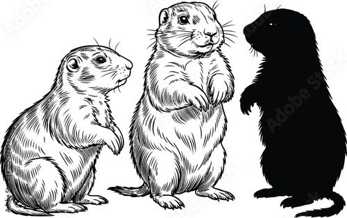 Artistic monochrome illustration of three prairie dogs, detailing one in profile with textured fur, an upright watchful figure, and a striking animal silhouette