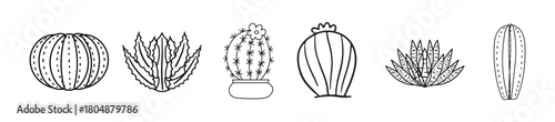 Collection of Hand-Drawn Cactus and Succulent Illustrations in Black and White
