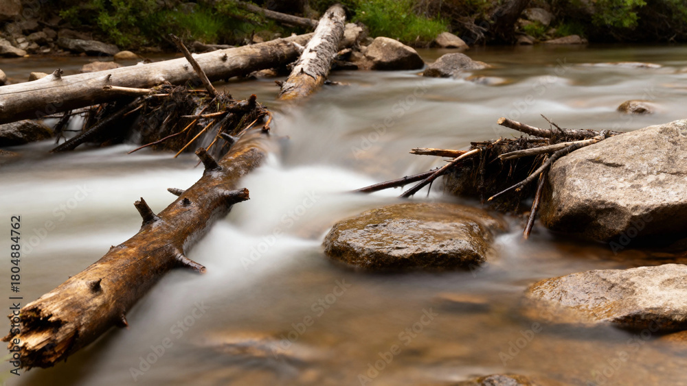 Fototapeta premium Stream flowing over rocks and fallen logs in a forested area