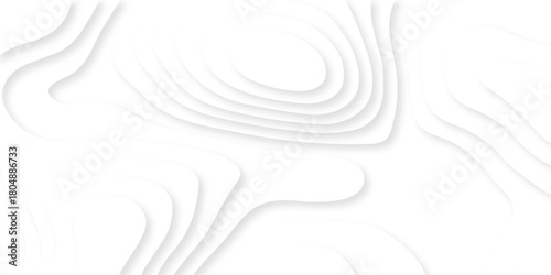 Luxury creative spiral paper background. vector natural shadow papercut web topography map spiral line. white light dynamic smooth cover origami papercut texture background.