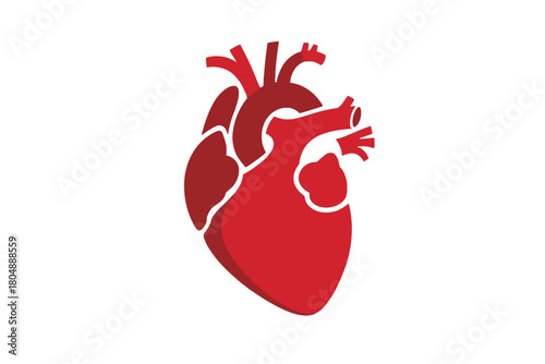 A red anatomical heart illustration against a white background.