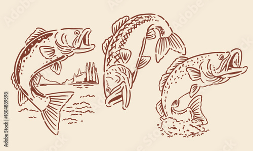 Set of three hand-drawn bass fish outline illustrations. Vintage fishing artwork for posters or t-shirt prints