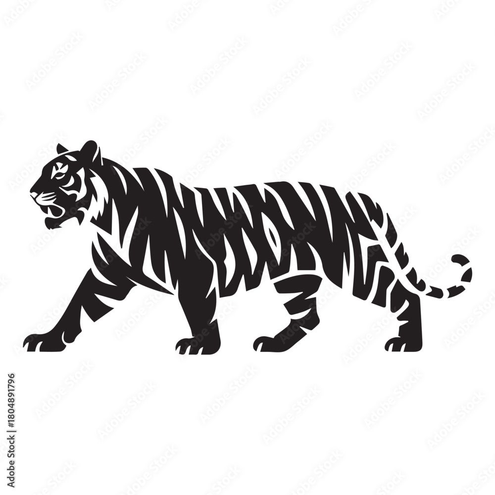 Fototapeta premium Tiger Vector 