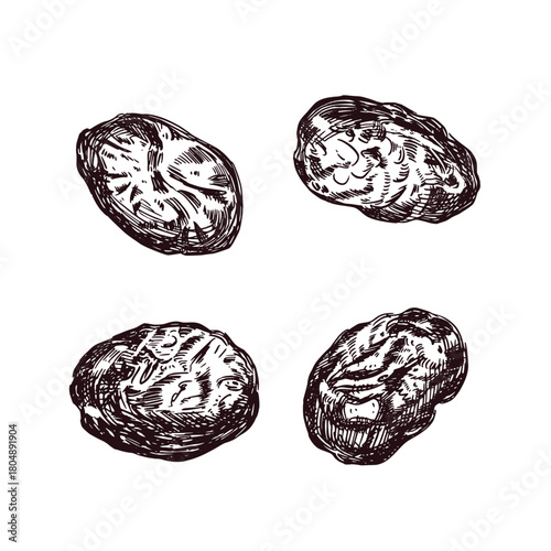 Prunes, a set of prune vector illustrations, all objects are hand-drawn in ink and translated into vector. Vector illustration is beautiful for printing on food packaging, cosmetics, kitchen textiles.